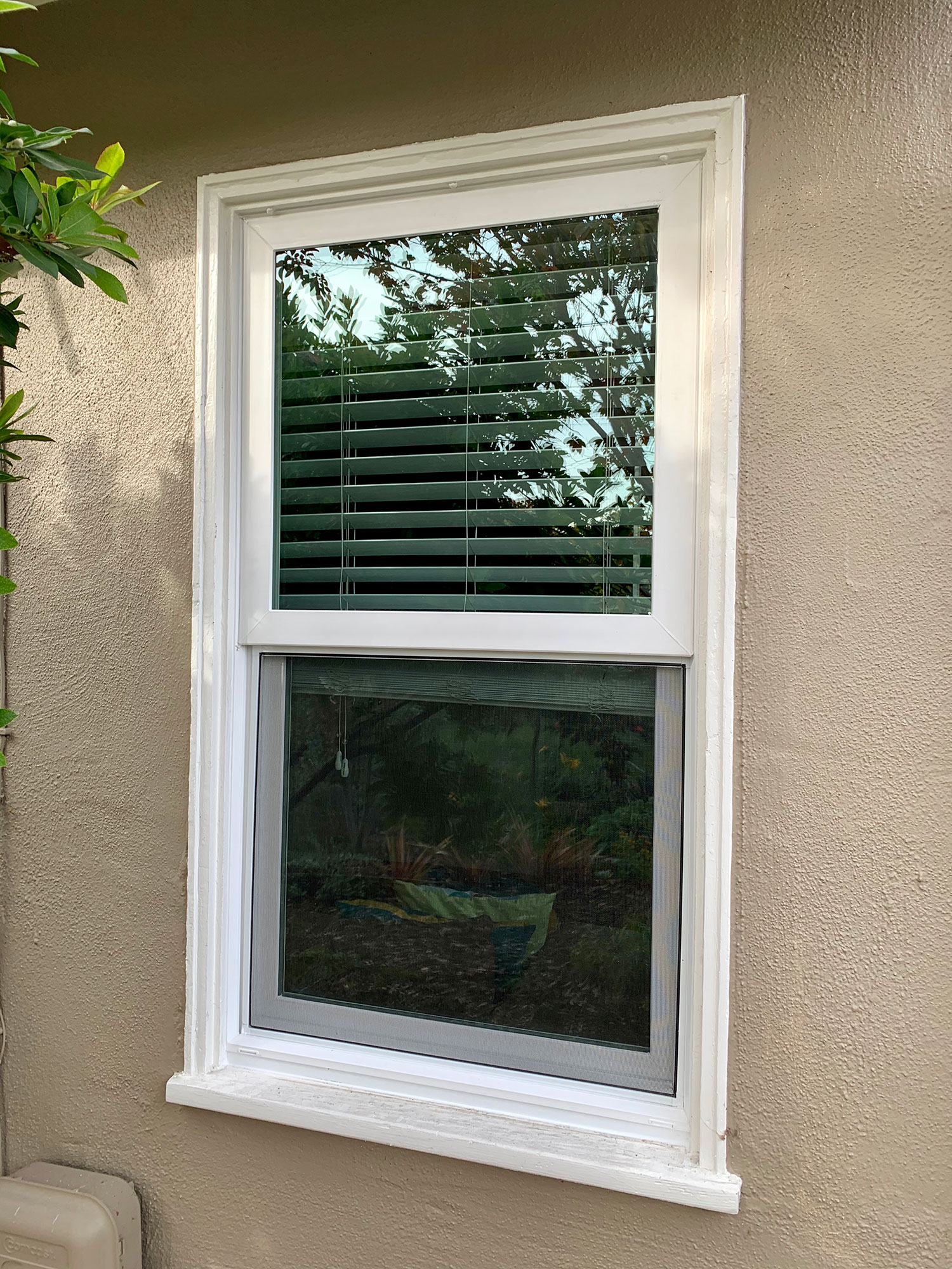 replacement windows in Campbell, CA